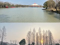 -上海野生动物园