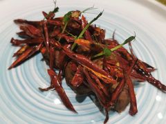 -星雅翠餐厅