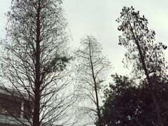 iphone_upload_pic-悦湖公馆