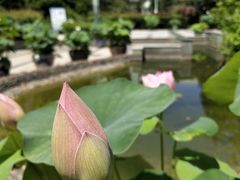 -华中科技大学同济医学院附属同济医院(汉口院区)