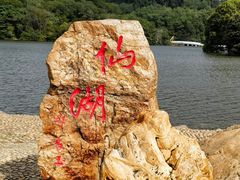 -深圳仙湖植物园