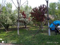 -长白岛森林公园