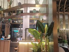 -原味四季椰子鸡(平湖天虹店)
