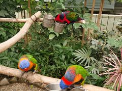 -南宫五洲植物乐园