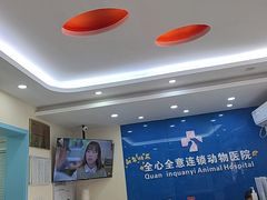 -全心全意连锁动物医院·微创中心·内科急重症·心脏专科(丰管路店)