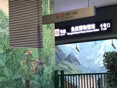 -1868 Café(上海自然博物馆店)
