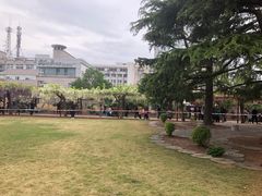 -嘉定紫藤园