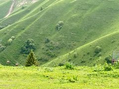 -新疆那拉提国家旅游度假区
