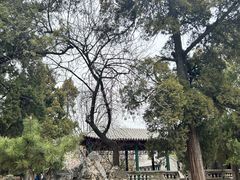 -孔府