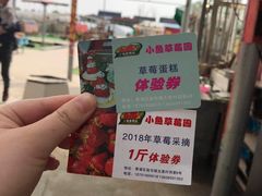 -小鱼草莓采摘园农家乐·小鱼餐厅