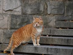 -苏州河梦清园环保主题公园