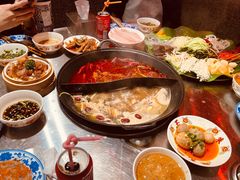 -朱光玉火锅馆(正弘城店)