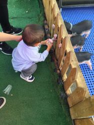 -萌宠亲子动物乐园(槐房万达店)