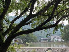 -鹿亭中村