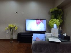 -熙朵美学植发连锁