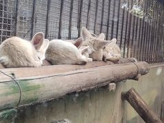 -昆明动物园