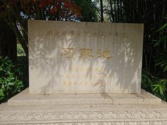 -习家池