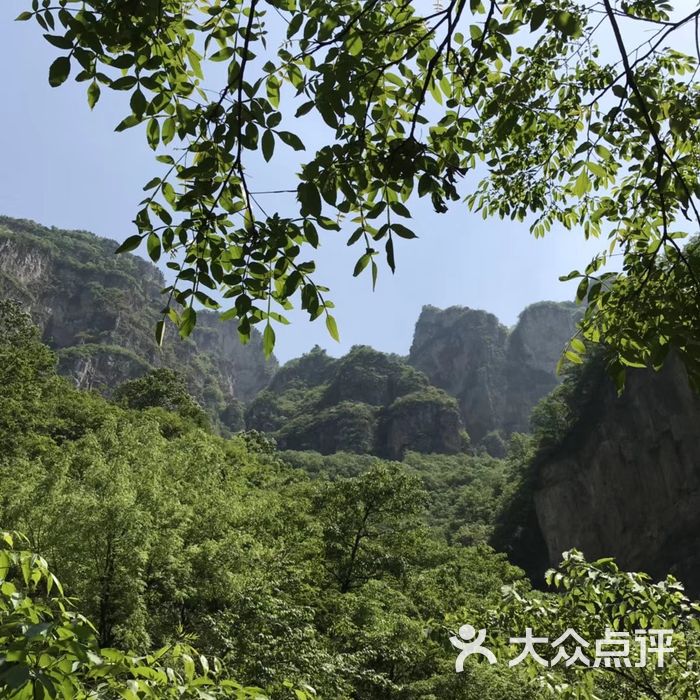 猕猴谷图片-北京动物园-大众点评网