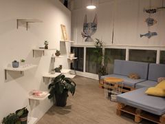 -有猫主题·治愈系猫咖(曾厝垵店)