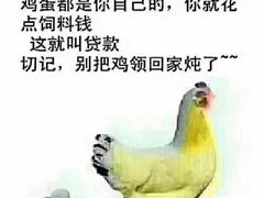 -成都明宇丽雅饭店