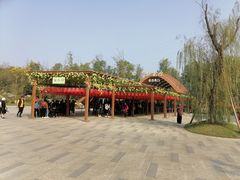 -常德桃花源景区