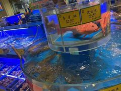 -新海渔港·胶东海鲜家常菜·家宴(奥体中心店)