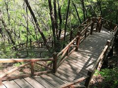 -大岭沟猕猴桃谷风景区
