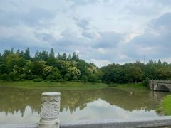 -上海海湾国家森林公园