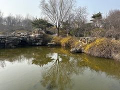 -石家庄市植物园