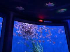 -沈阳海洋探索中心