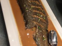 -浩运·海鲜青岛菜·海胆水饺(石老人店)