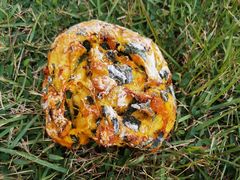 新疆姑娘-七叔是岛民(花基新村店)