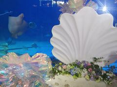 -烟台海昌鲸鲨海洋公园