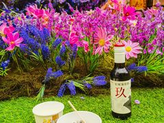-中粮·祥云小镇