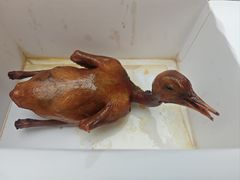 -石岐佬中山菜馆(张溪店)