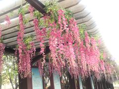 -西安汉城湖景区