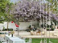 -柠檬花院烤肉·会议团建·聚会·求婚(三圣乡店)