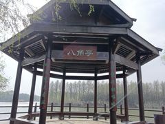 -苏州太湖国家湿地公园