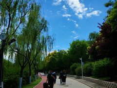 -南翠屏公园