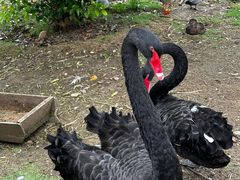 -南京金牛湖风景区