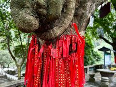 -飞霞风景名胜区