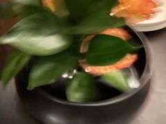 -三利音·玖弄小鲜(浦东嘉里城店)