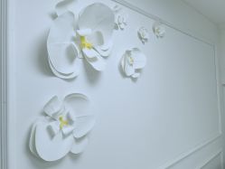 -babiline芭比莱恩半永久纹眉纹唇发际线