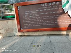 -碧水湾温泉