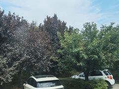 -秦始皇帝陵博物院(兵马俑)