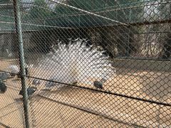 -秦皇岛野生动物园