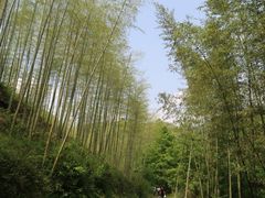 -夏霖九天银瀑风景区