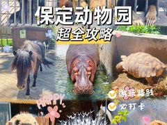 -保定市动物园