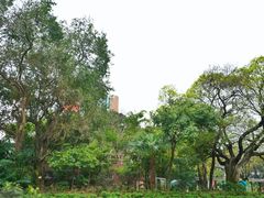 -九龙公园