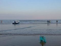 -日照海滨国家森林公园